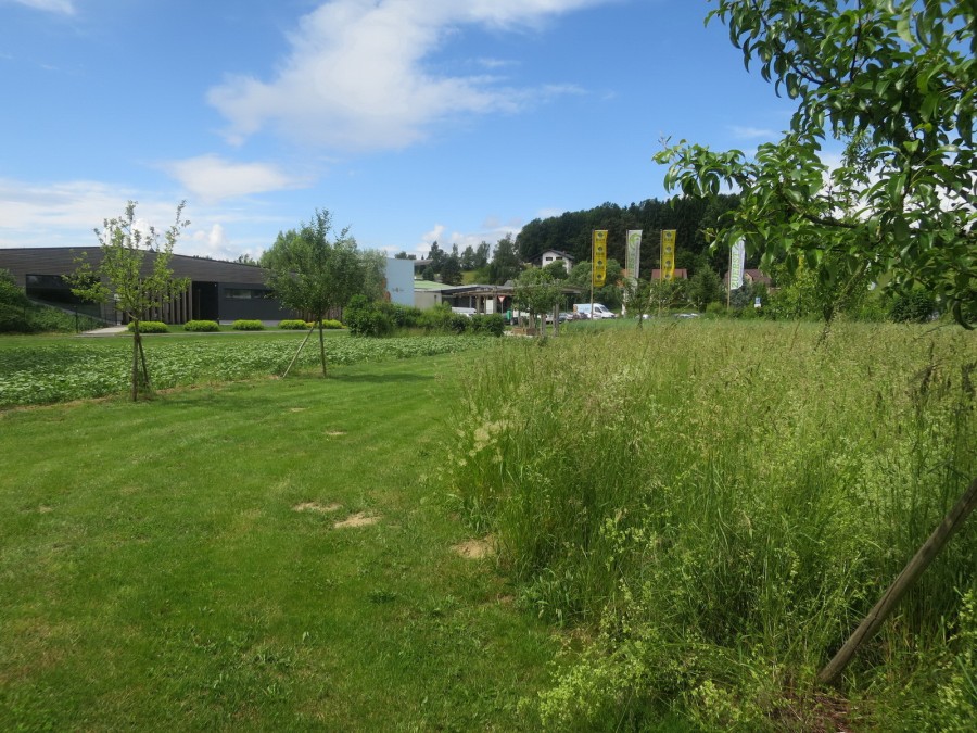 Platz für Naturvielfalt Platz für Naturvielfalt