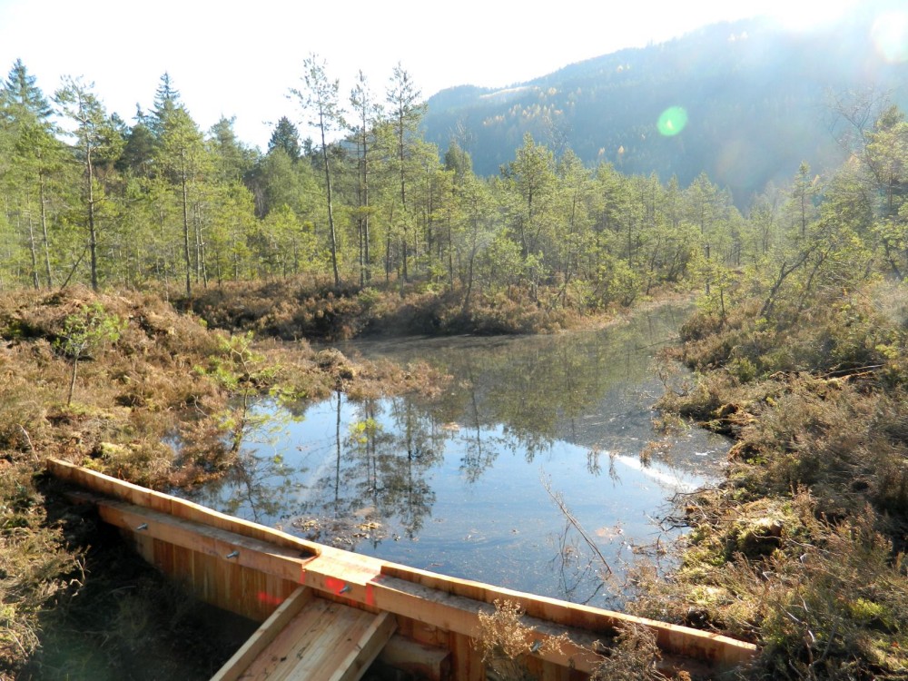 Erfolgreiche Verspundung eines Drainagegrabens-Teilstückes. Foto: D. Kreiner