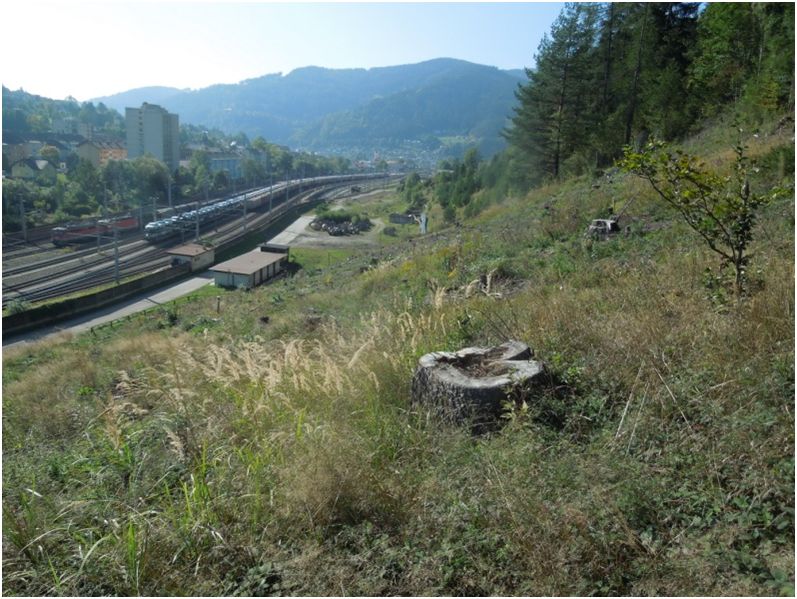 Bahnhof Mürzzuschlag. Foto: T. Frieß