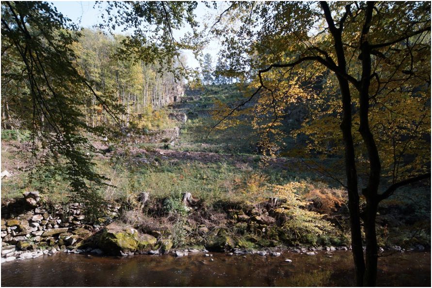 Ein Juwel – das Rodltal mit der Jahresstiege in Gramastetten. Foto: L. Schlosser Ein Juwel – das Rodltal mit der Jahresstiege in Gramastetten. Foto: L. Schlosser