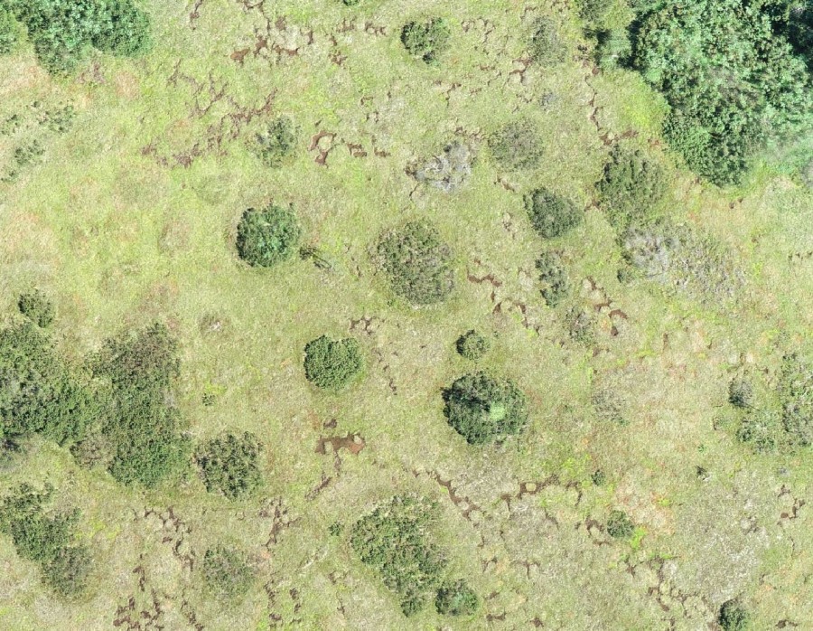 Lebensraummosaik im Hochmoor. Foto: Zimmermann P. Lebensraummosaik im Hochmoor. Foto: Zimmermann P.