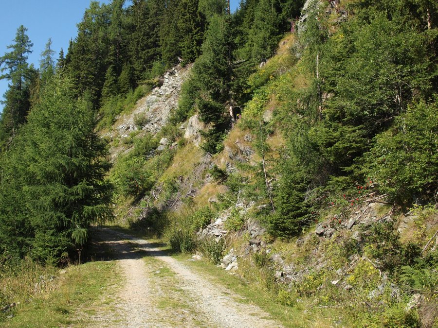 Forststraße im Lungau/Lessach. Foto: H. Brunner