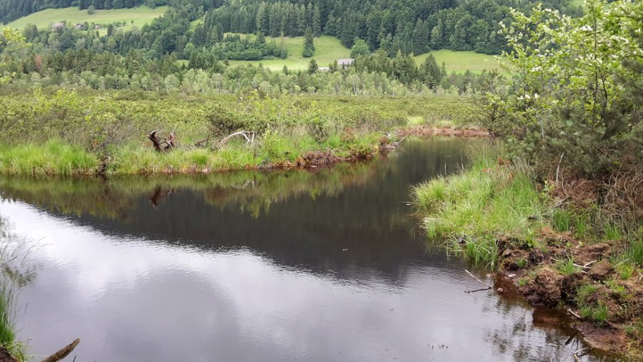 Krungler Moor