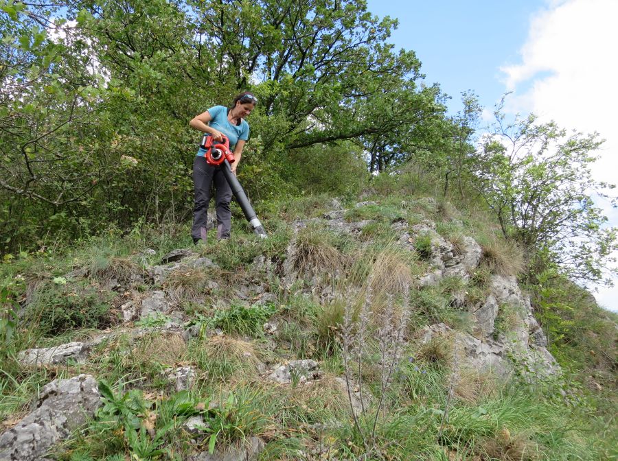 Insektenkundliche Aufsammlungen mittels Bodensauger am Gipfel des Fels-Sonderbiotops und Naturschutzgebiets Häuselberg bei Leoben.