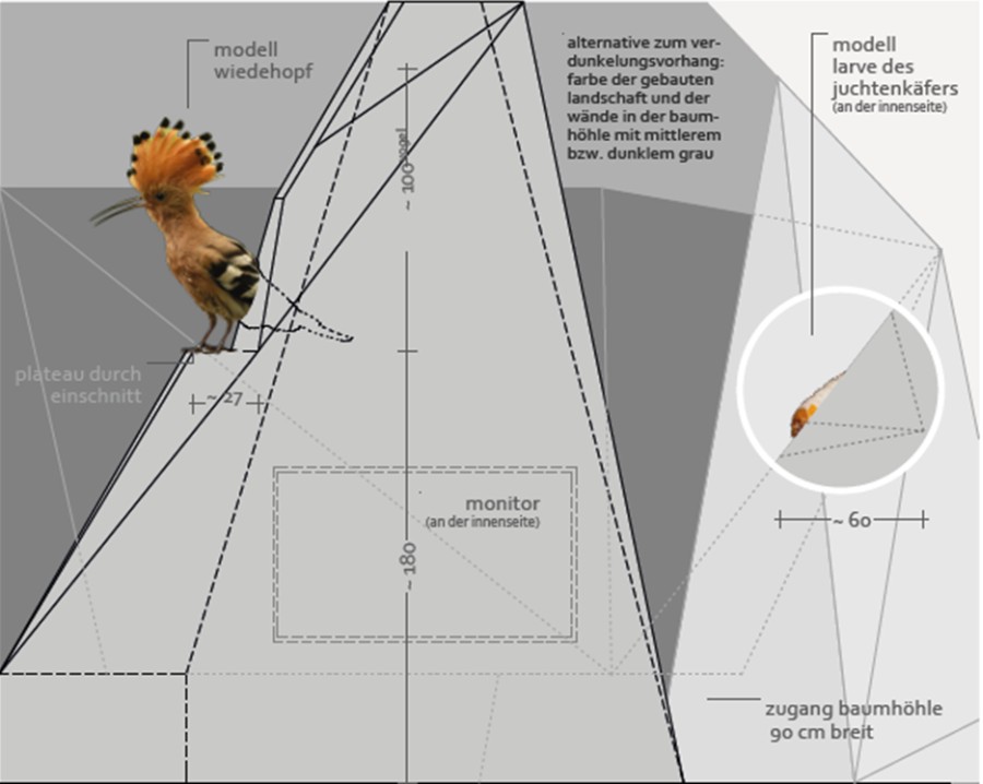 Detailplanung zur „Begehbaren Baumhöhle“ mit Wiedehopf- und Juchtenkäferlarve