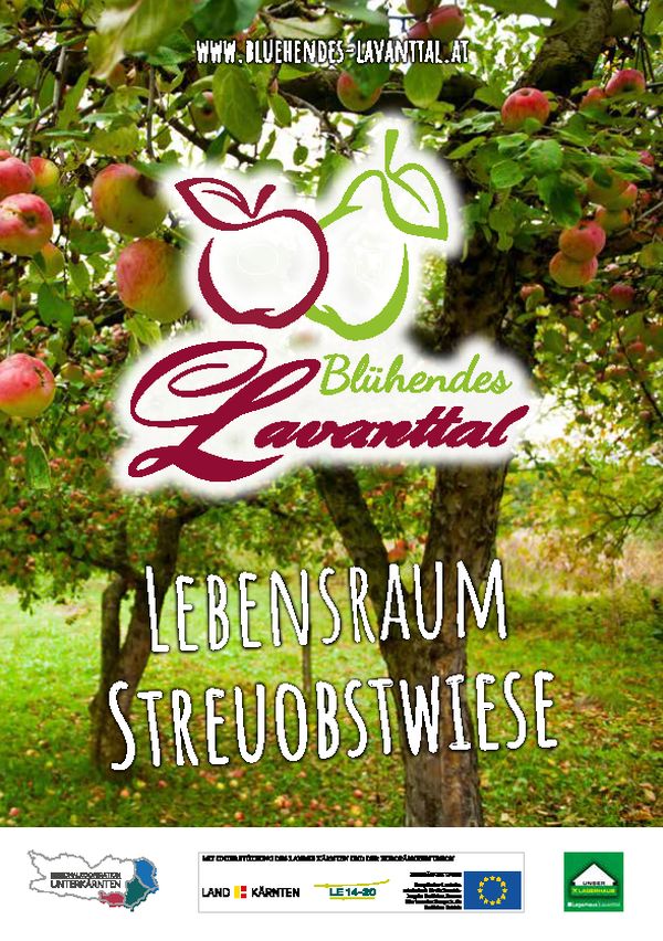 Titelseite der Informationsbroschüre zum Thema „Lebensraum Streuobstwiese“. Titelseite der Informationsbroschüre zum Thema „Lebensraum Streuobstwiese“.