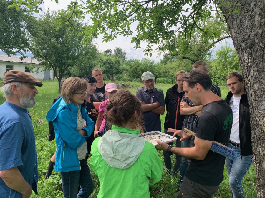 Exkursion zum Thema „Artenvielfalt im Streuobstgarten“ in St. Stefan im Lavanttal. Exkursion zum Thema „Artenvielfalt im Streuobstgarten“ in St. Stefan im Lavanttal.