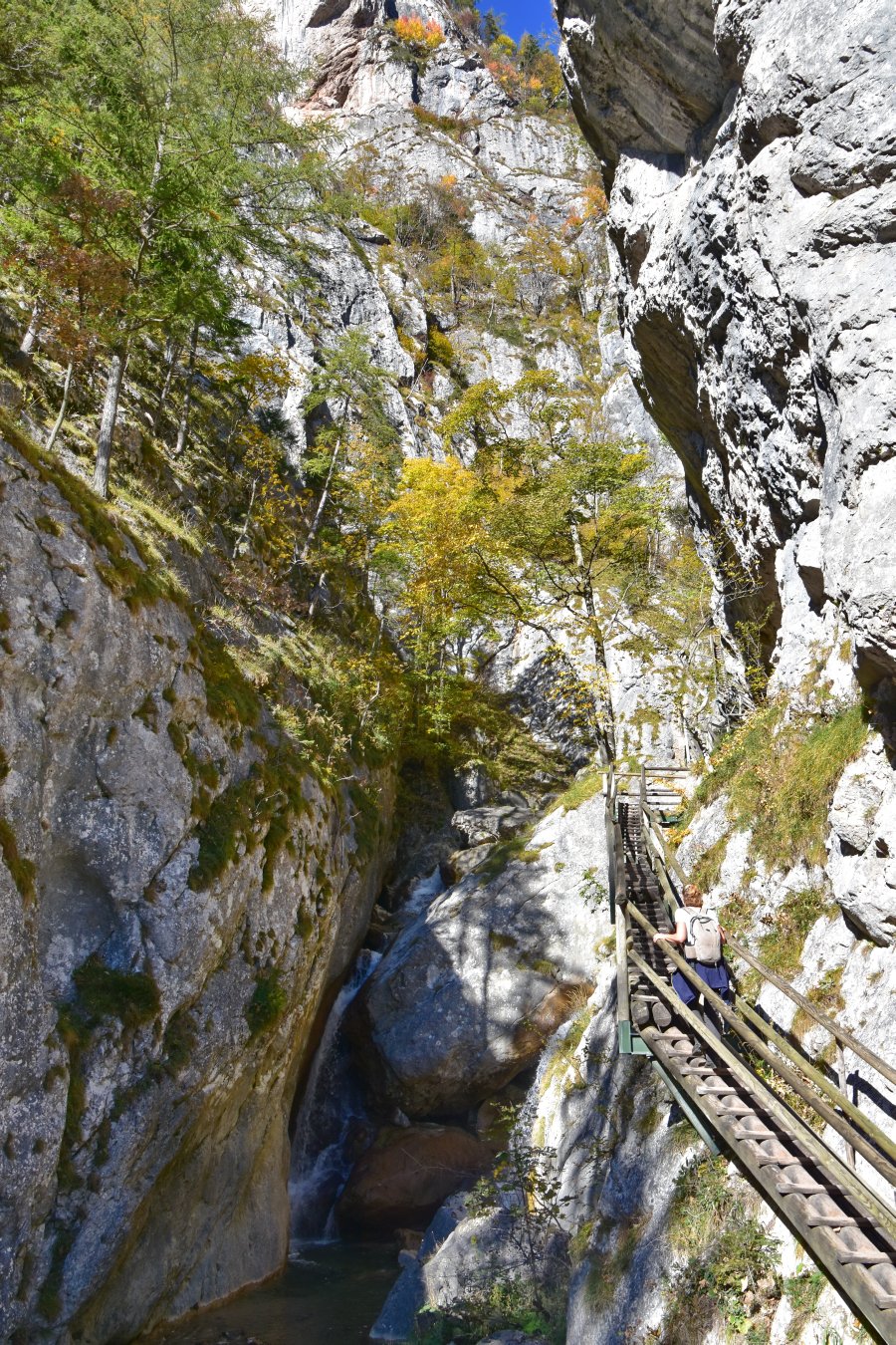 Naturparkjuwel Bärenschützklamm im Naturpark Almenland.